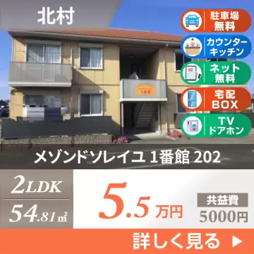 メゾンドソレイユ 1番館 202