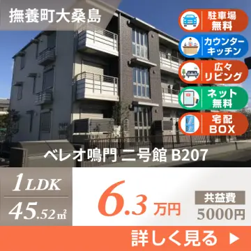 ベレオ鳴門 二号館 B207