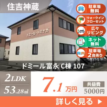 ドミール富永 C棟 107