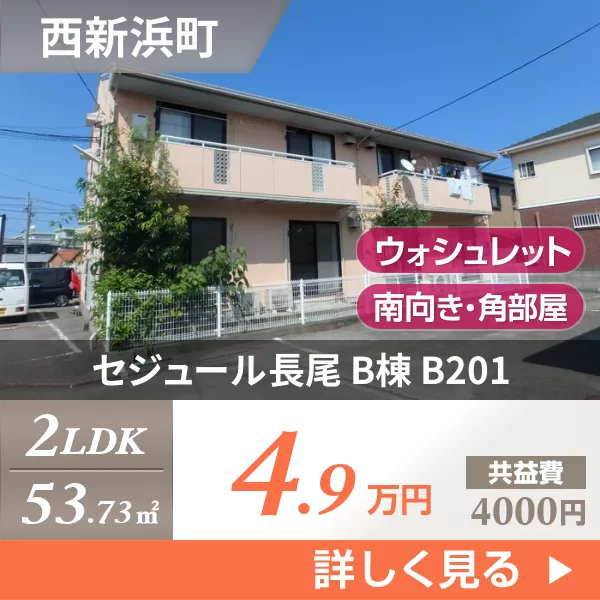 セジュール長尾 B棟 B201