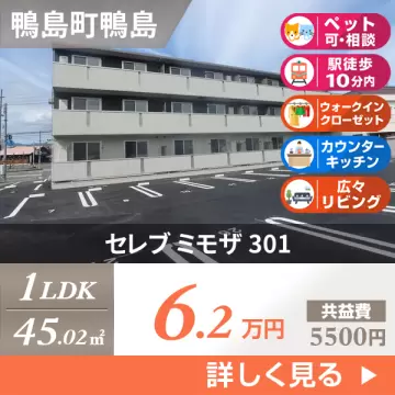 セレブ ミモザ 301