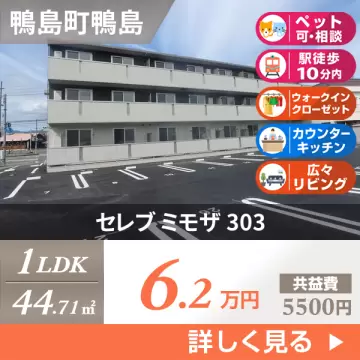 セレブ ミモザ 303