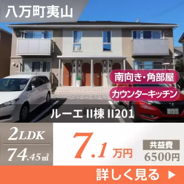 ルーエ II棟 II201