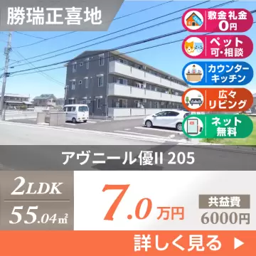 アヴニール優II 205
