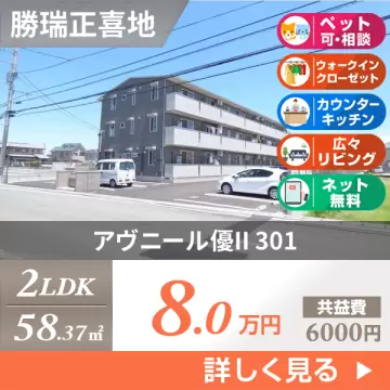 アヴニール優II 301