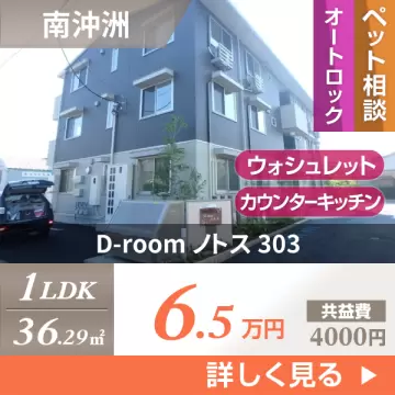 D-room ノトス 303