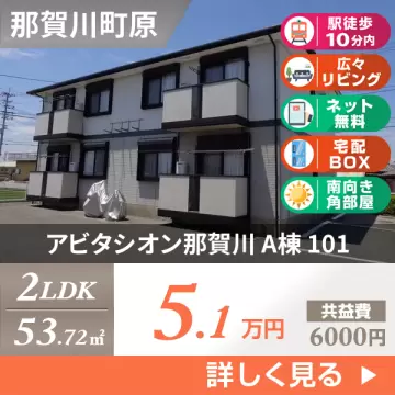 アビタシオン那賀川 A棟 101