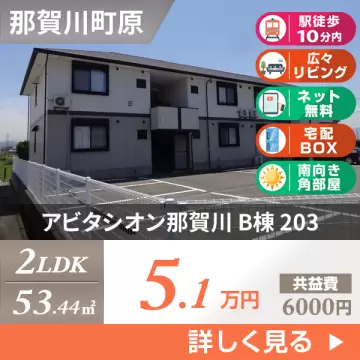 アビタシオン那賀川 B棟 203