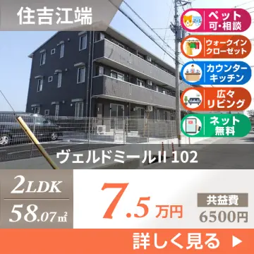 ヴェルドミールII 102