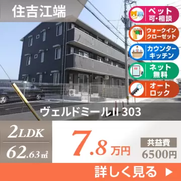 ヴェルドミールII 303