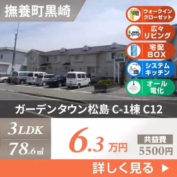 ガーデンタウン松島 C-1棟 C12