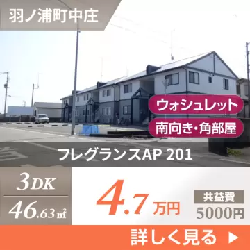 フレグランスAP 201