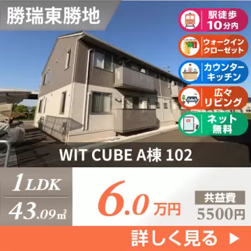 WIT CUBE A棟 102