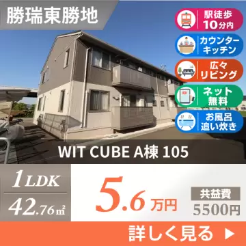 WIT CUBE A棟 105