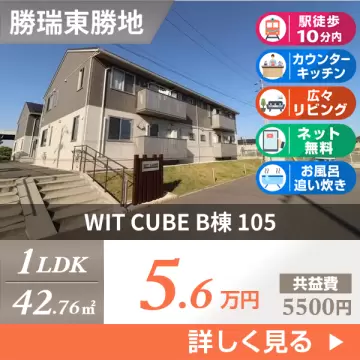WIT CUBE B棟 105