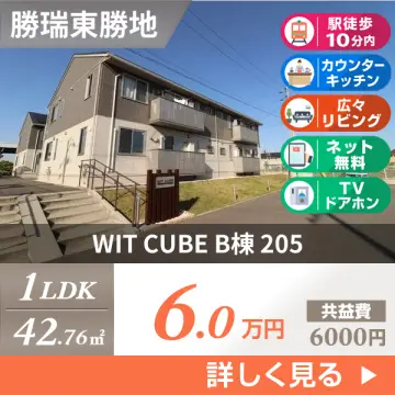 WIT CUBE B棟 205