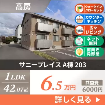 サニープレイス A棟 203
