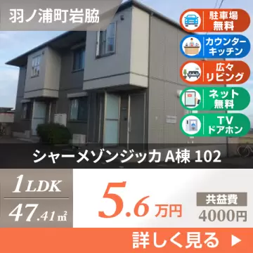 シャーメゾンジッカ A棟 102