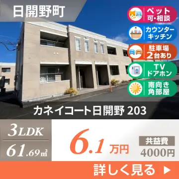 カネイコート日開野 203