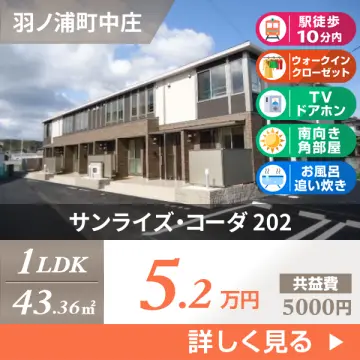 サンライズ・コーダ 202
