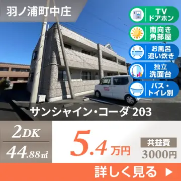 サンシャイン・コーダ 203