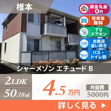 シャーメゾン エチュード B 105