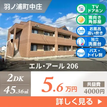 エル・アール 206