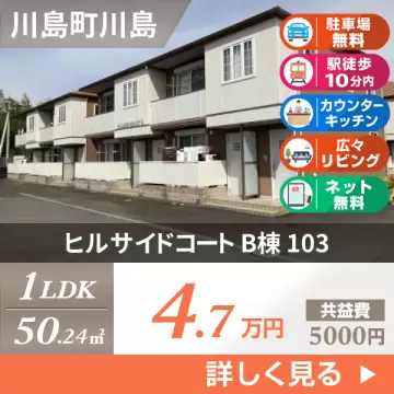 ヒルサイドコート B棟 103