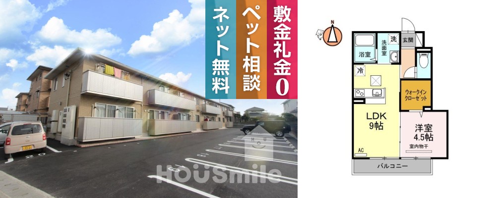 ノール プラージュ 107の外観と間取り図