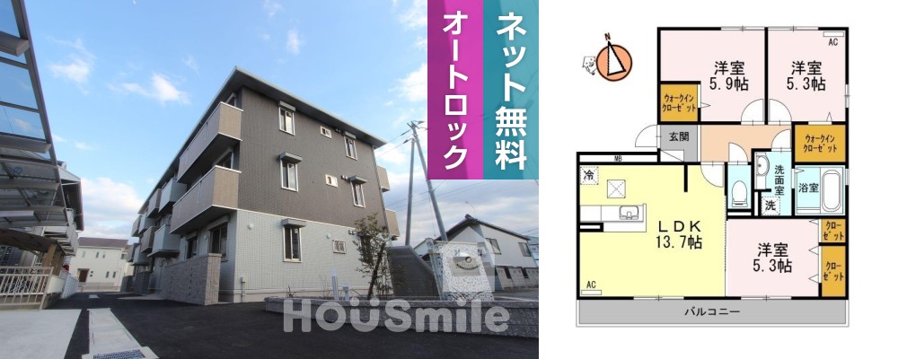 ラフィーナ 101の外観と間取り図