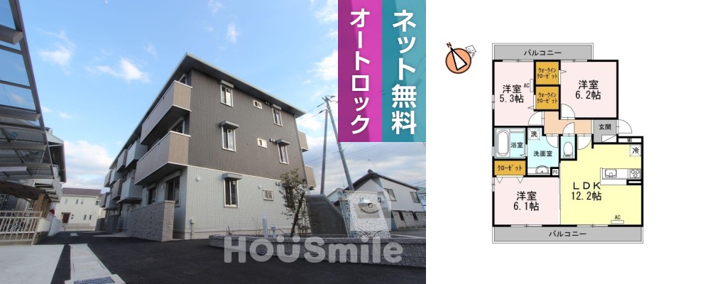 ラフィーナ 303の外観と間取り図