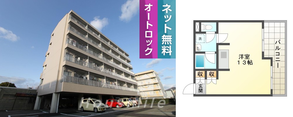 の写真