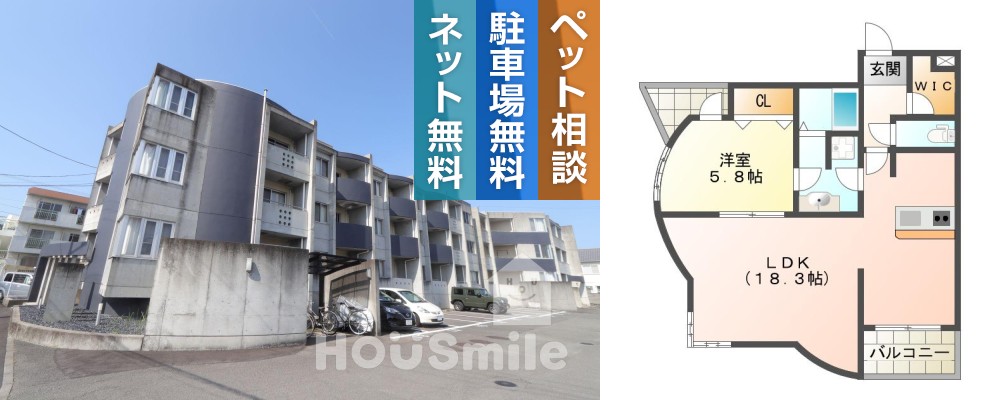 南島田町 マンション 1LDK 206の外観と間取り図