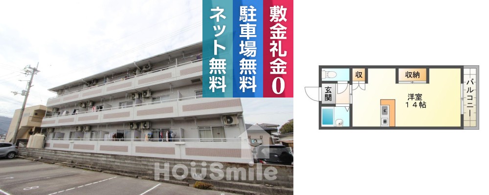 南田宮 マンション 1R 206の外観と間取り図