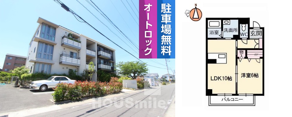 ベレオ南島田 203の外観と間取り図