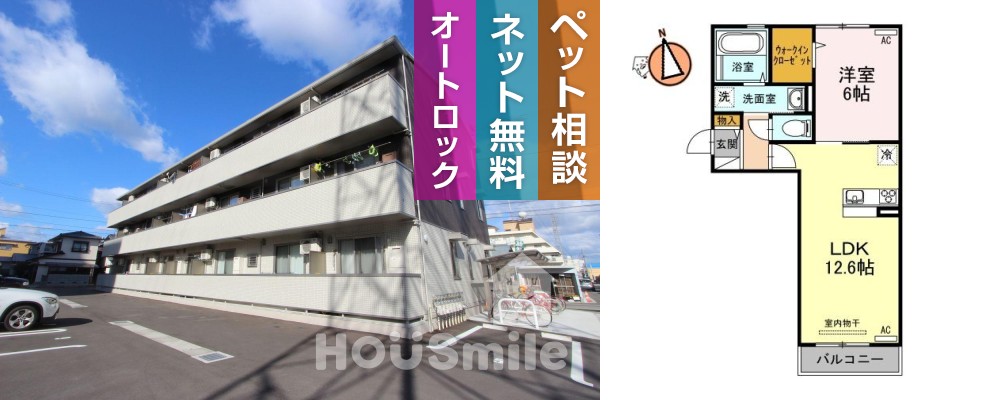 マハナ 205の外観と間取り図