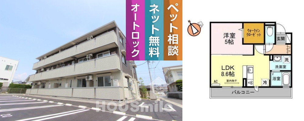 D-room ノトス 203の外観と間取り図