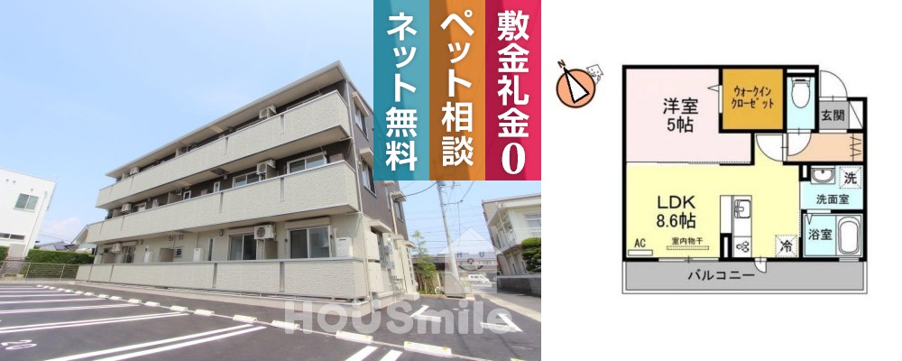 D-room ノトス 303の外観と間取り図