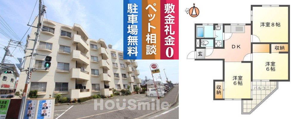 南田宮 マンション 3DK 203の外観と間取り図