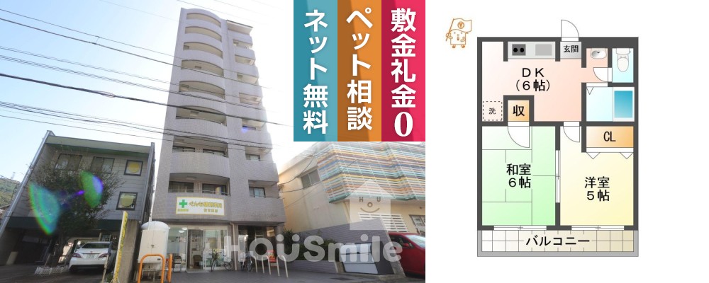 ロータスワゼル 502の外観と間取り図
