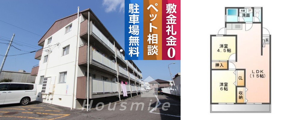 徳島大学 蔵本 1300m 2LDK 301の写真