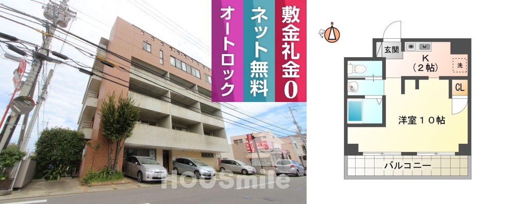 南昭和町 マンション 1K 201の外観と間取り図