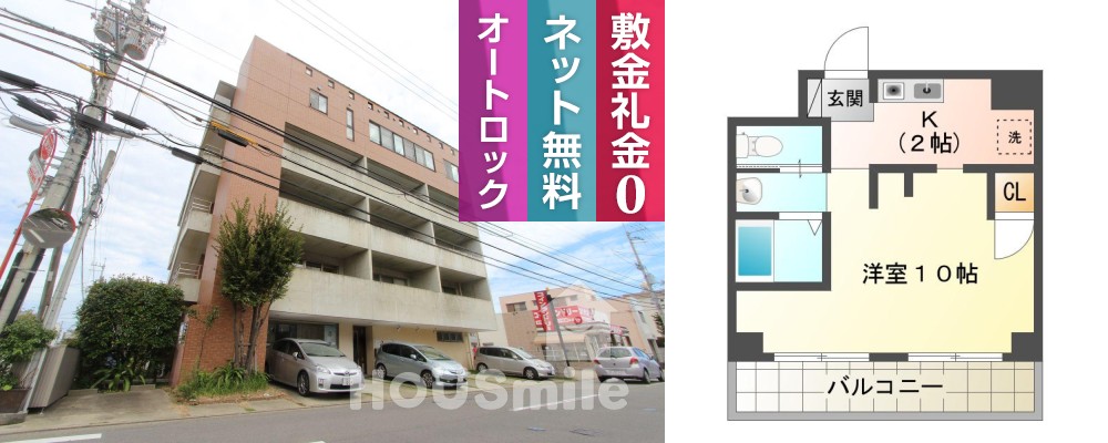 南昭和町 マンション 1K 301の外観と間取り図