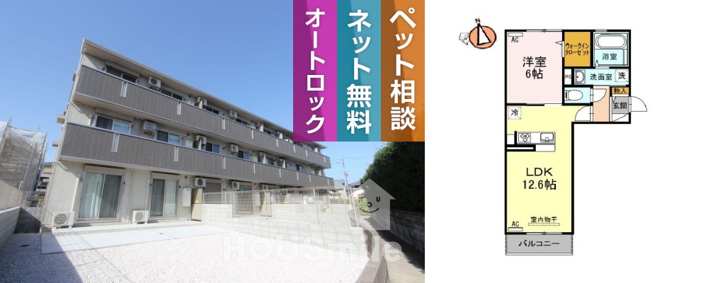 エル・ソル沖浜 303の外観と間取り図