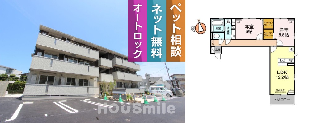 コモド 203の写真