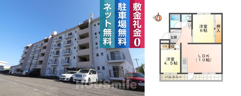 庄野ビル 301の外観と間取り図