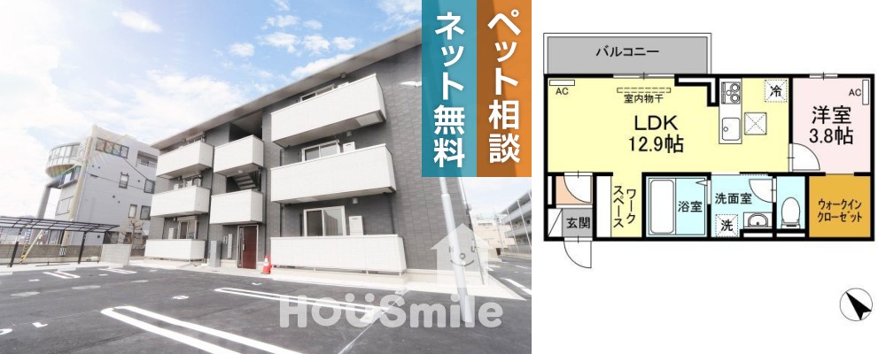ラ・トゥール山城西A 203の外観と間取り図