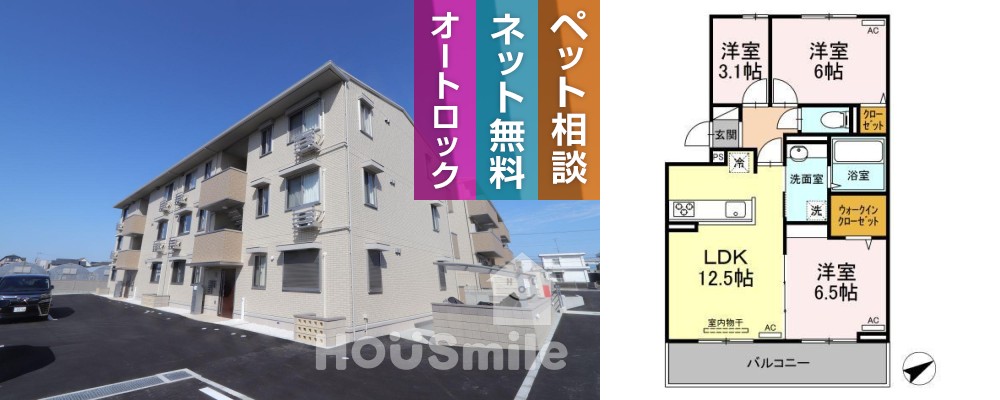 ロイヤルサンB 105の外観と間取り図