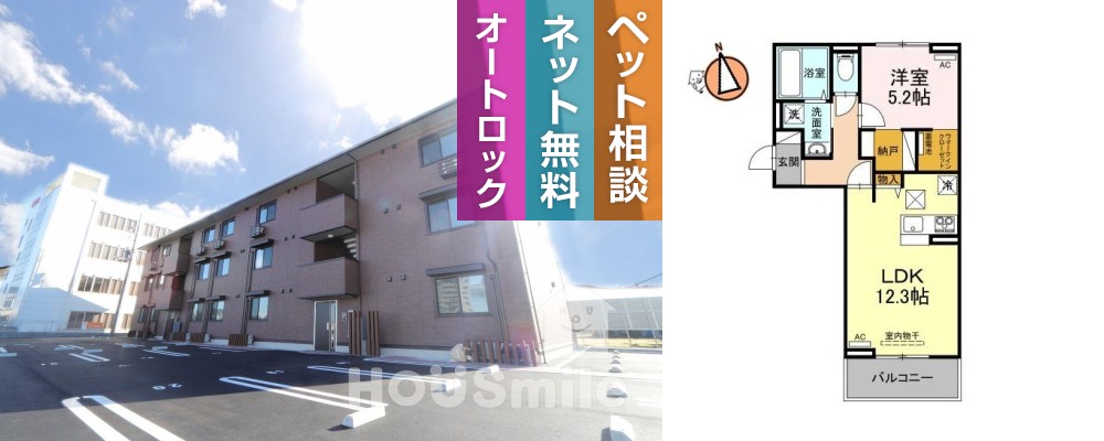 サンセール問屋町 205の外観と間取り図