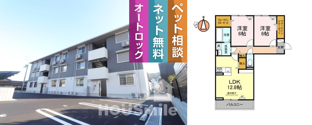 ドリーム庄町 203の外観と間取り図